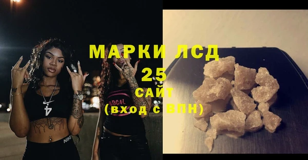PSILOCYBIN Горняк