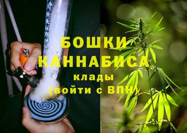 2c-b Горно-Алтайск