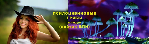 2c-b Горно-Алтайск