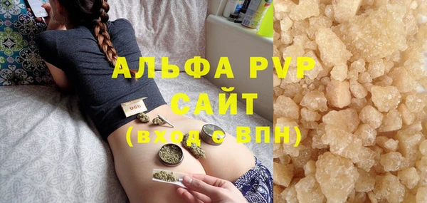 PSILOCYBIN Горняк