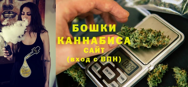 2c-b Горно-Алтайск