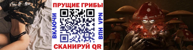 что такое наркотик  Калуга  Псилоцибиновые грибы Psilocybine cubensis 
