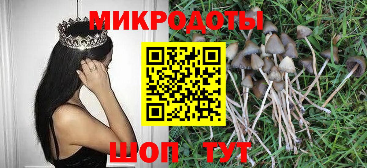 Галлюциногенные грибы мухоморы  Вход с VPN  Калуга 